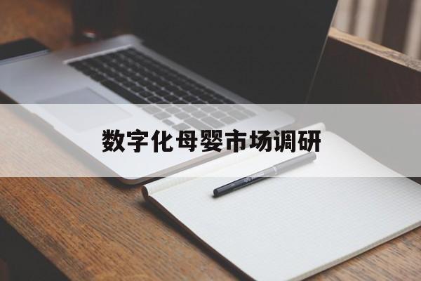 金昌市数字化母婴市场调研(数字化母婴市场调研报告)