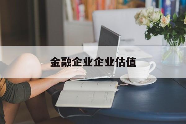 金昌市金融企业企业估值(最新企业估值怎么填)